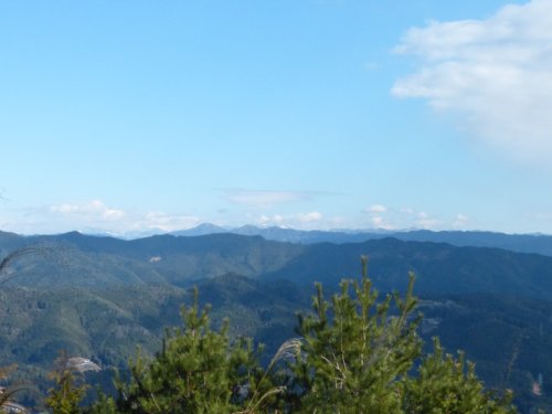 画像14